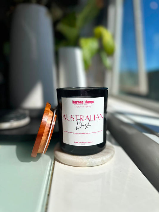 300g Wickless Candle